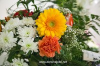 /album/galerie-de-photos-ceremonie-en-hommage-a-orchidee/img-6389-jpg/